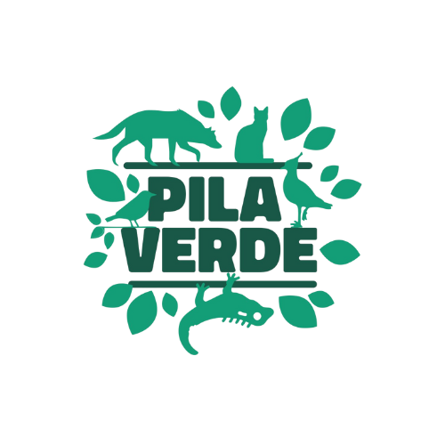 Pila Verde.png